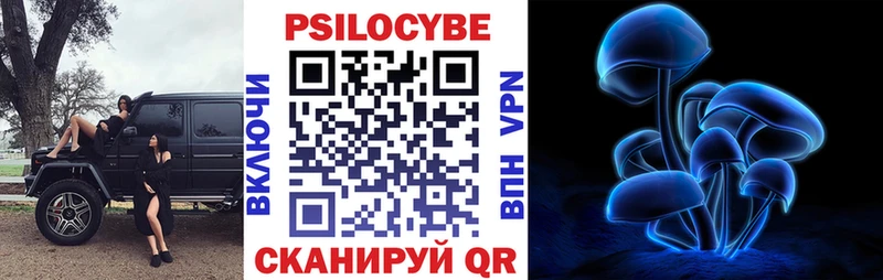 Галлюциногенные грибы GOLDEN TEACHER  Купить закладки  Дальнереченск 